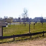 3 Avec Terrasse Pour 6 Personnes - Api-1-52-1375 Saint-Gervais-dʼAuvergne