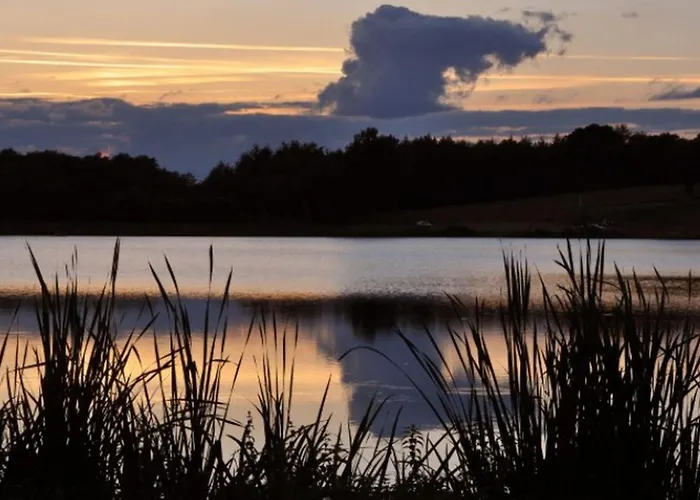 Camping 3 Avec Terrasse Pour 6 Personnes - Api-1-52-1375 Saint-Gervais-dʼAuvergne